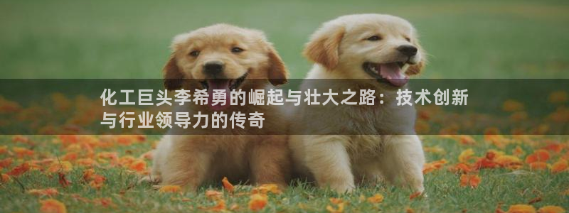 球盟会几点玩合适：化工巨头李希勇的崛起与壮大之路：技术创新
