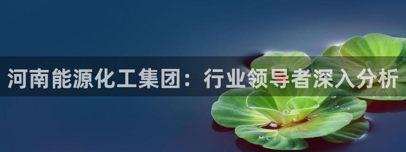 球盟会封号：河南能源化工集团：行业领导者深入分析