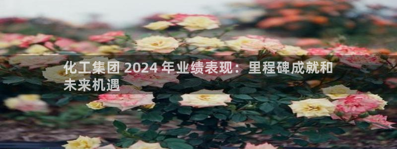 球盟会进不去：化工集团 2024 年业绩表现：里程碑成就和
