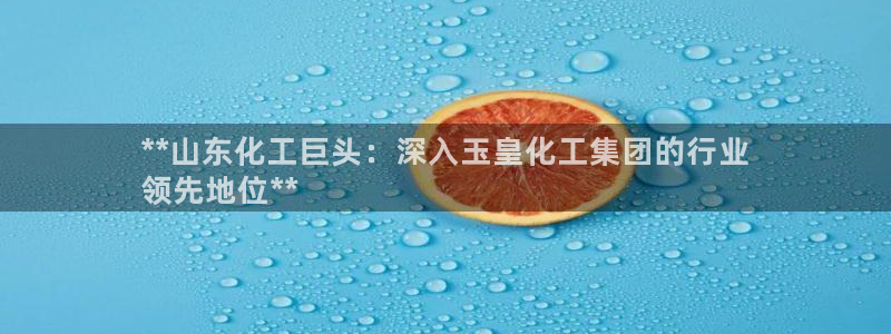 球盟会在线官网：**山东化工巨头：深入玉皇化工集团的行业
领