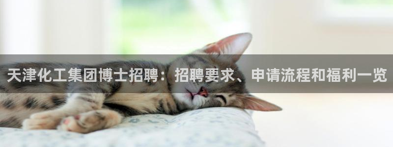 球盟会综合体育平台：天津化工集团博士招聘：招聘要求、申请流程