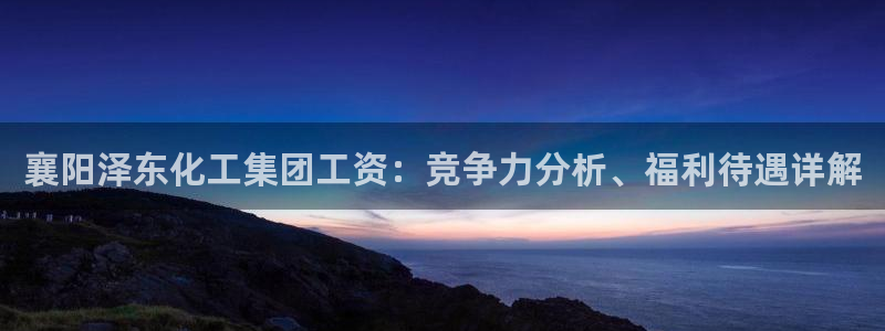 球盟会app网址多少号：襄阳泽东化工集团工资：竞争力分析、福