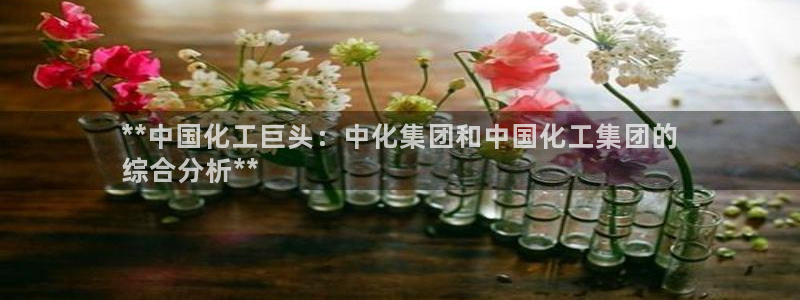 球盟会网页版登陆：**中国化工巨头：中化集团和中国化工集团的