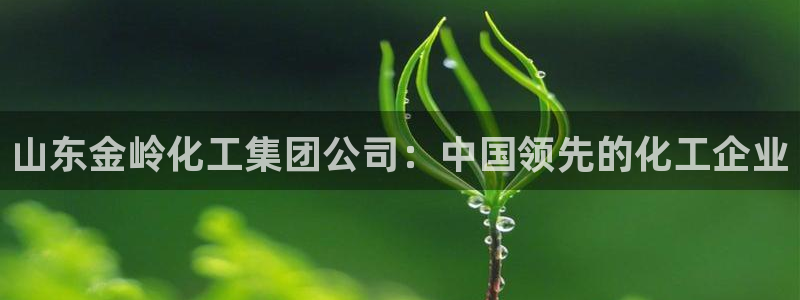 球盟会登陆中心：山东金岭化工集团公司：中国领先的化工企业
