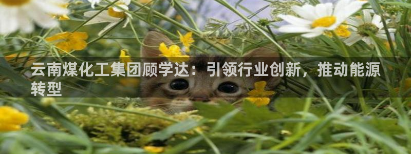 球盟会封禁：云南煤化工集团顾学达：引领行业创新，推动能源
转