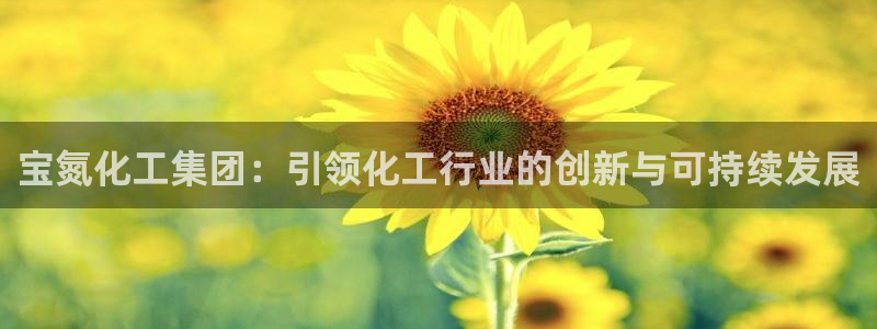 球盟会电子：宝氮化工集团：引领化工行业的创新与可持续发展