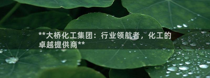 球盟会黑台子吗：**大桥化工集团：行业领航者，化工的
卓越提