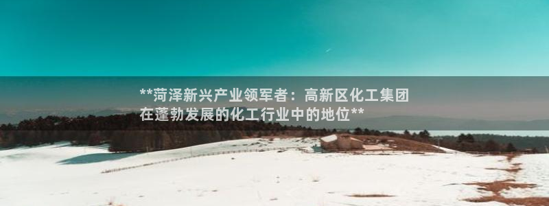 球盟会平台怎么样：**菏泽新兴产业领军者：高新区化工集团
在
