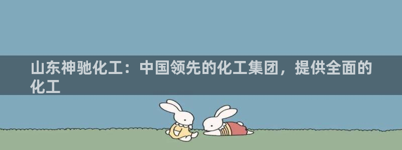球盟会可以提现么：山东神驰化工：中国领先的化工集团，提供全面