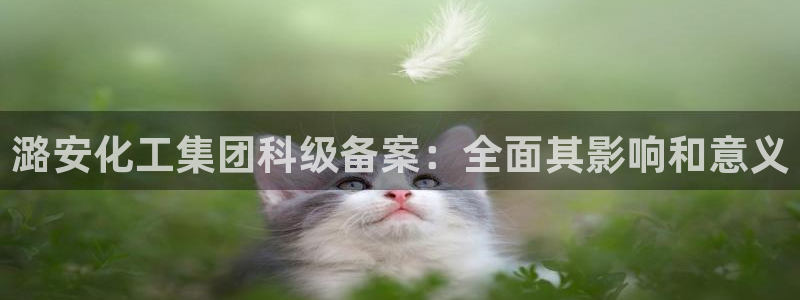 球盟会官方网入口：潞安化工集团科级备案：全面其影响和意义