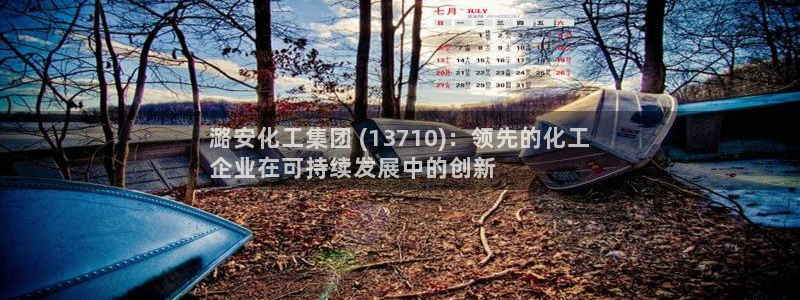 球盟会网址：潞安化工集团 (13710)：领先的化工
企业在