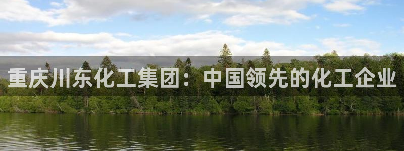 球盟会app网址多少号：重庆川东化工集团：中国领先的化工企业
