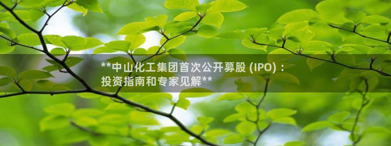 球盟会官方网页登录：**中山化工集团首次公开募股 (IPO)