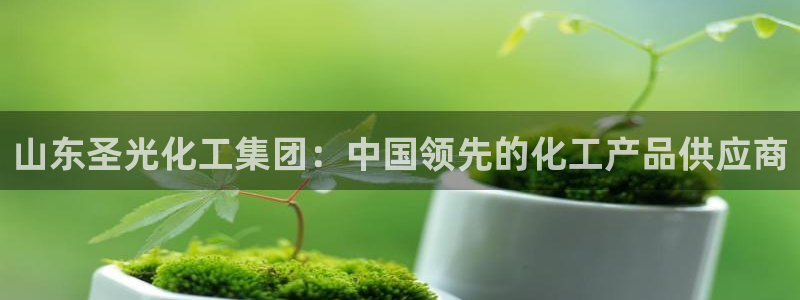 球盟会唯一：山东圣光化工集团：中国领先的化工产品供应商