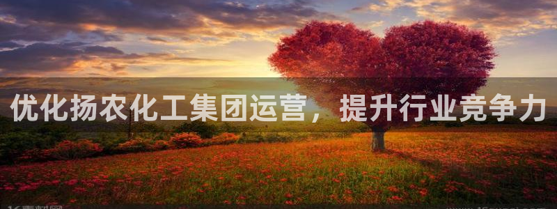 球盟会app网址多少号：优化扬农化工集团运营，提升行业竞争力