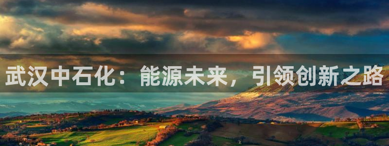 球盟会在线登入：武汉中石化：能源未来，引领创新之路