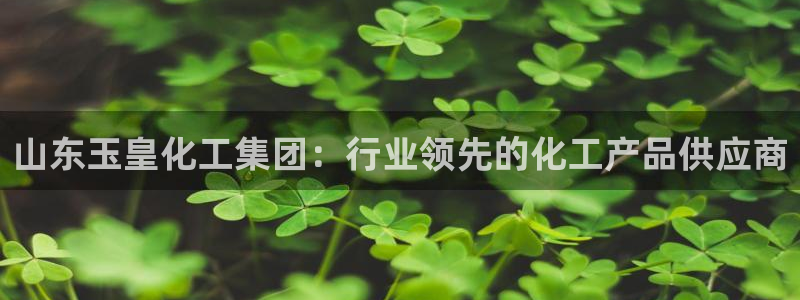球盟会可以提现么是真的吗：山东玉皇化工集团：行业领先的化工产