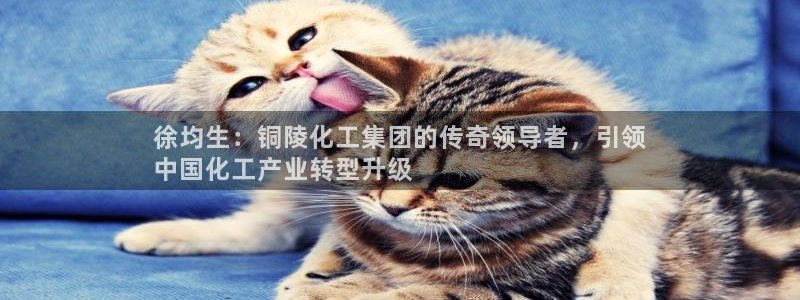 球盟会登陆：徐均生：铜陵化工集团的传奇领导者，引领
中国化工