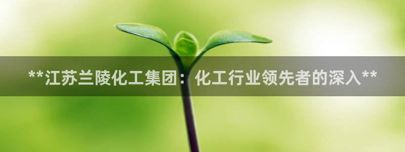 球盟会app最新地址下载安装：**江苏兰陵化工集团：化工行业