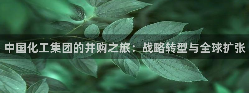球盟会qmh - 球盟会官方网站：中国化工集团的并购之旅：战