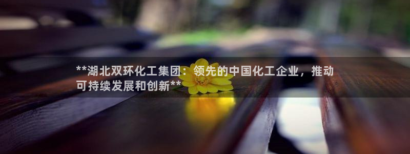 球盟会最新地址备用：**湖北双环化工集团：领先的中国化工企业