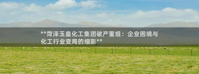 球盟会app入口：**菏泽玉皇化工集团破产重组：企业困境与
