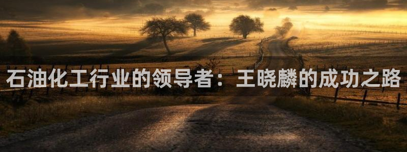 球盟会网址多少：石油化工行业的领导者：王晓麟的成功之路