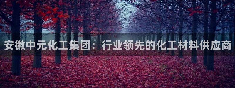 球盟会在线登录官网：安徽中元化工集团：行业领先的化工材料供应