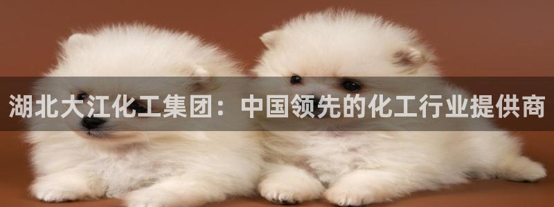球盟会登陆：湖北大江化工集团：中国领先的化工行业提供商