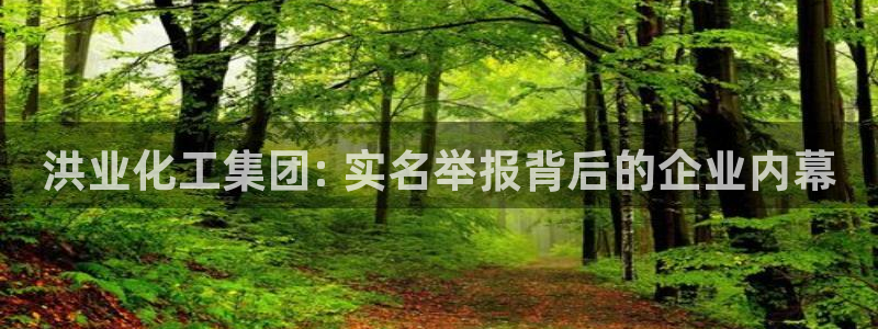 球盟会官方平台入口：洪业化工集团: 实名举报背后的企业内幕