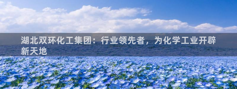 球盟会黑款吗知乎小说：湖北双环化工集团：行业领先者，为化学工