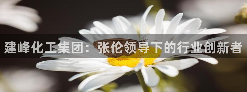 球盟会官方入口：建峰化工集团：张伦领导下的行业创新者