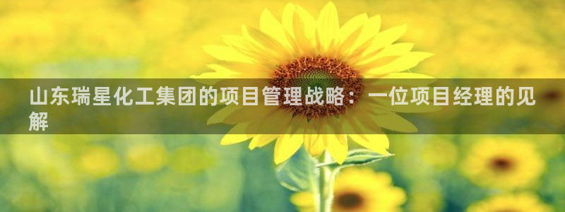 球盟会qmh官网：山东瑞星化工集团的项目管理战略：一位项目经