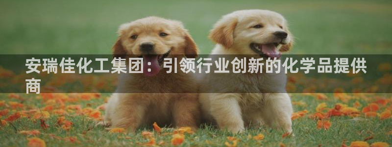 球盟会乐虎
