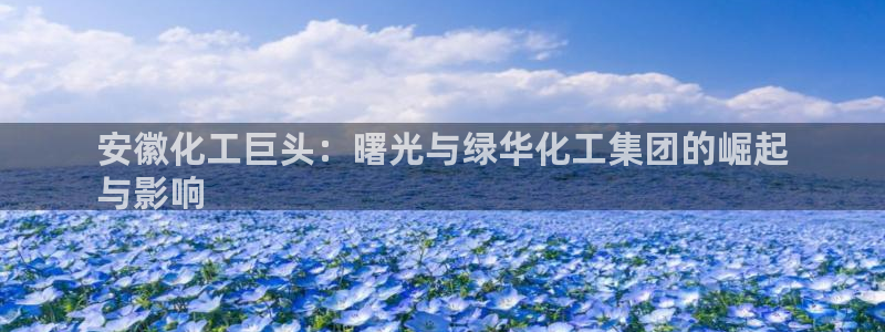 球盟会app：安徽化工巨头：曙光与绿华化工集团的崛起
与影响