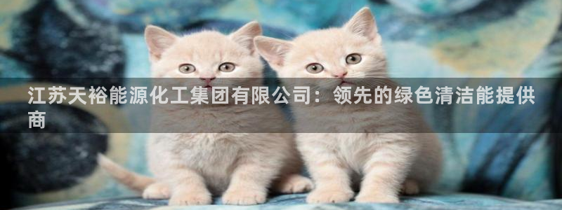 球盟会黑平台：江苏天裕能源化工集团有限公司：领先的绿色清洁能