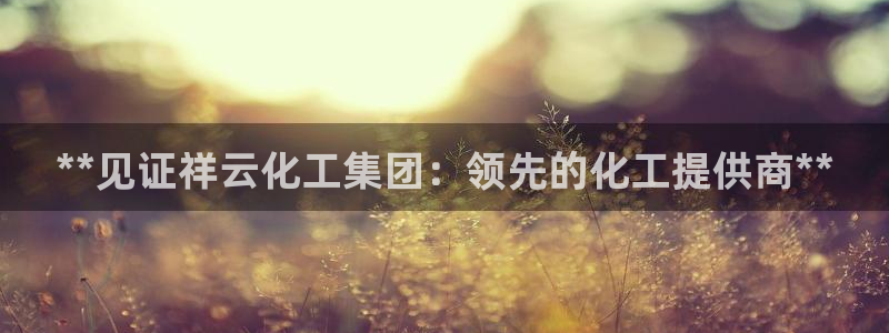 球盟会登录网址：**见证祥云化工集团：领先的化工提供商**
