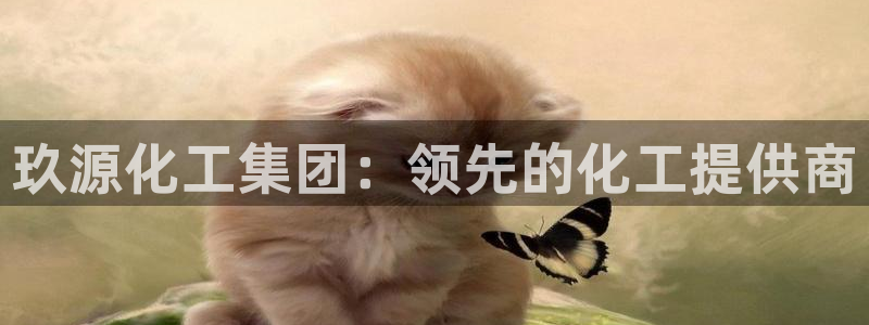 球盟会app最新地址在哪：玖源化工集团：领先的化工提供商