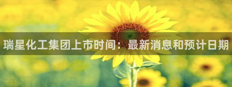球盟会平台会黑单吗：瑞星化工集团上市时间：最新消息和预计日期