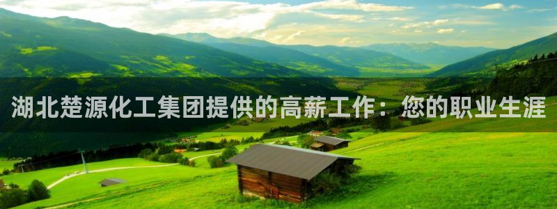 球盟会最新地址备用：湖北楚源化工集团提供的高薪工作：您的职业