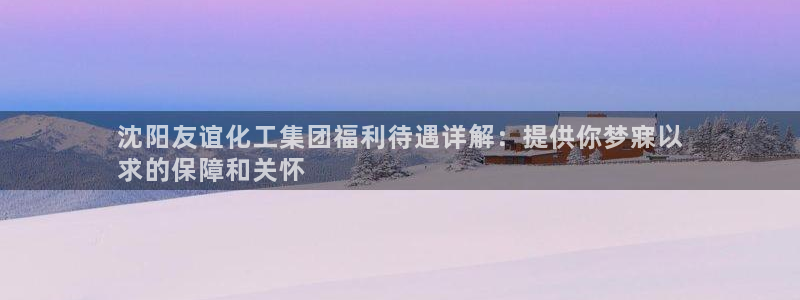 球盟会游戏：沈阳友谊化工集团福利待遇详解：提供你梦寐以
求的