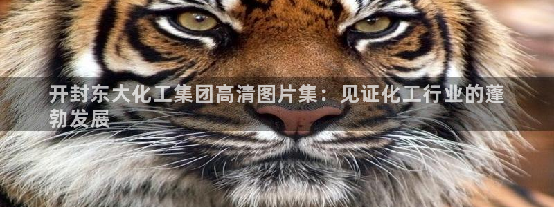 球盟会在线网站：开封东大化工集团高清图片集：见证化工行业的蓬
