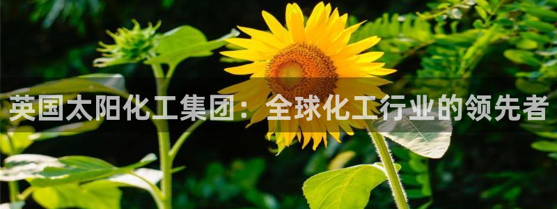 球盟会出款黑了：英国太阳化工集团：全球化工行业的领先者