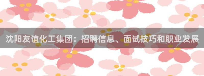 球盟会黑台：沈阳友谊化工集团：招聘信息、面试技巧和职业发展