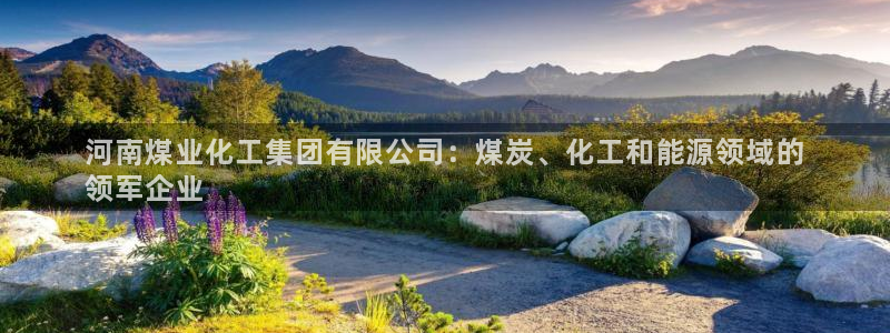 球盟会官方网入口：河南煤业化工集团有限公司：煤炭、化工和能源