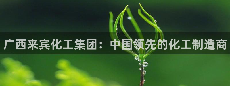 球盟会体育app官方网站：广西来宾化工集团：中国领先的化工制