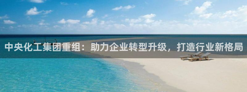 球盟会qmh网页版登录：中央化工集团重组：助力企业转型升级，