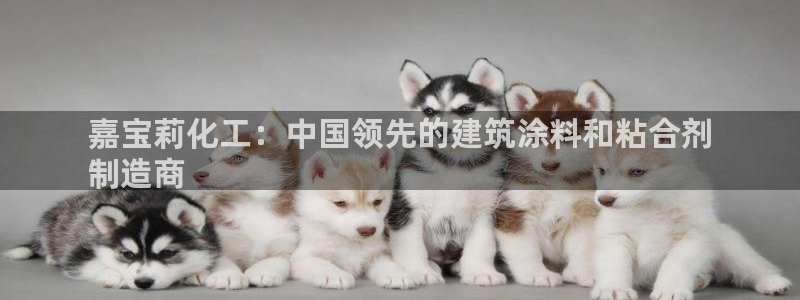 球盟会出款黑了：嘉宝莉化工：中国领先的建筑涂料和粘合剂
制造