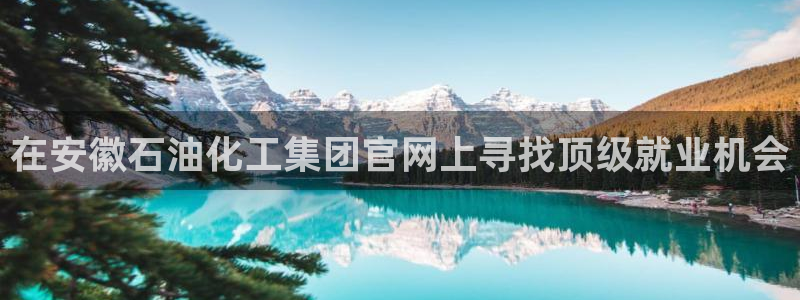 球盟会能提现吗安全吗：在安徽石油化工集团官网上寻找顶级就业机
