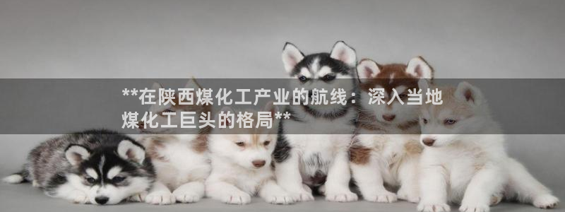 球盟会最新地址备用：**在陕西煤化工产业的航线：深入当地
煤